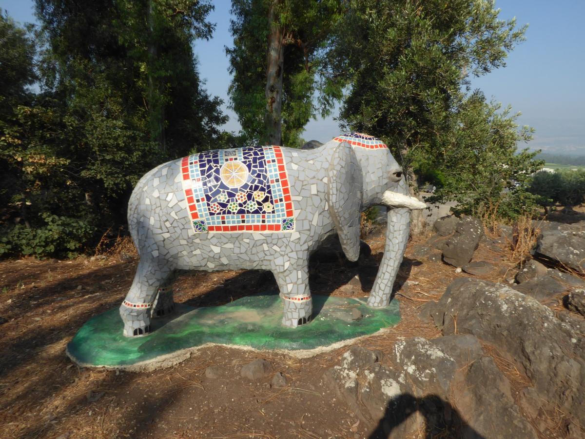 Kefar Szold "Bakfar" Kfar Szold Country Lodgingヴィラ エクステリア 写真